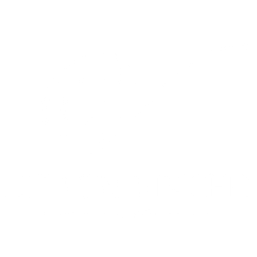 Steven Viniche'