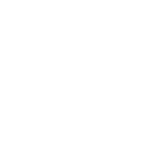 Steven Viniche'